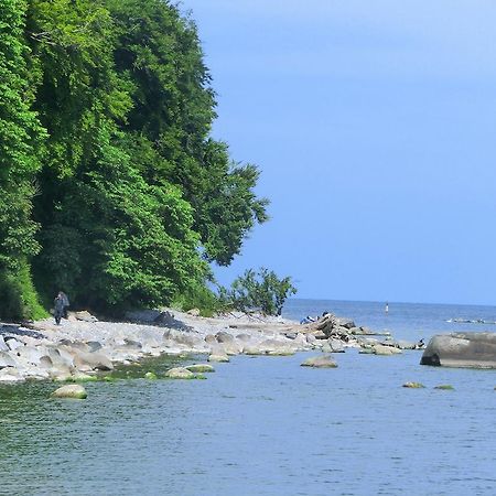 Restaurant & Hotel Baumhaus Hagen Sassnitz Ngoại thất bức ảnh