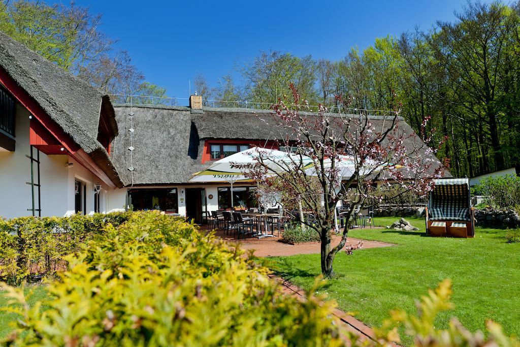 Restaurant & Hotel Baumhaus Hagen Sassnitz Ngoại thất bức ảnh